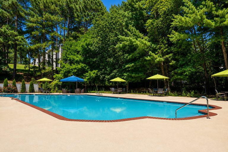 LaVida swimming pool surrounded by trees and lounge chairs.